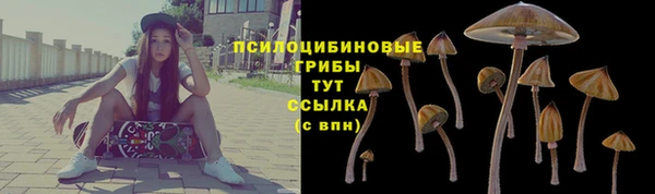 ПСИЛОЦИБИНОВЫЕ ГРИБЫ Магадан