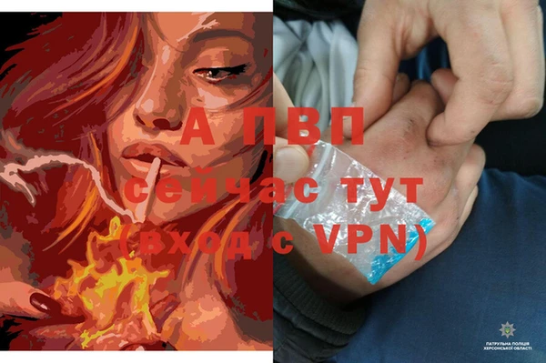 каннабис Майский