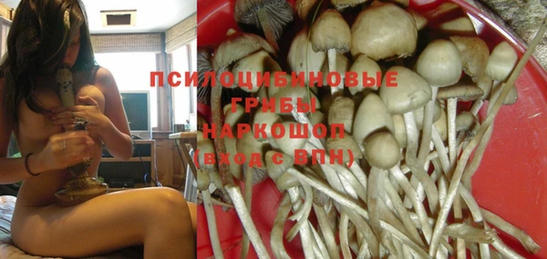 гашик Лиски