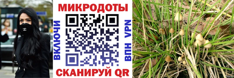 Псилоцибиновые грибы MAGIC MUSHROOMS  Афипский 